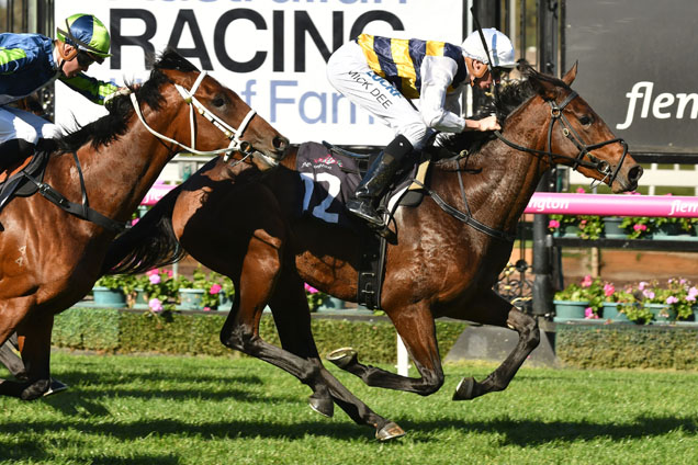 Aloisia winning the Saintly Hall Of Fame Trophy Aloisia winning the Saintly Hall Of Fame Trophy