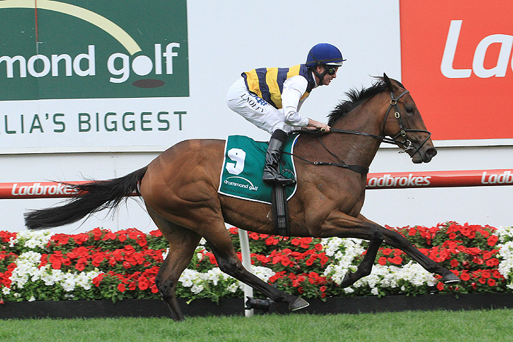 Aloisia was very fast in the Moonee Valley Vase
