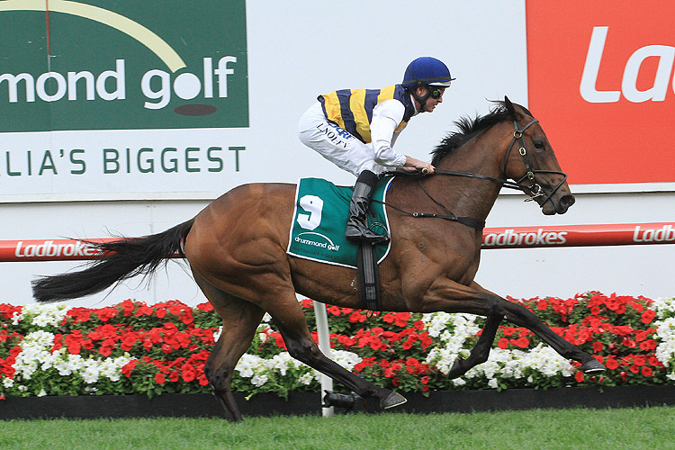 Aloisia winning the Moonee Valley Vase