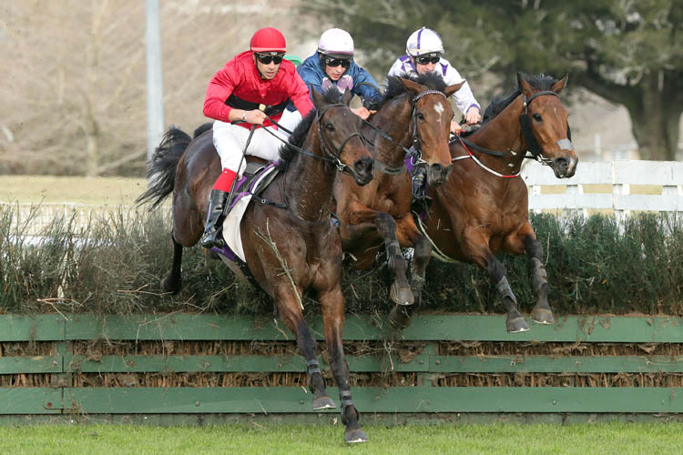 Amanood Lad winning the Tractor Centre Pakuranga Hunt