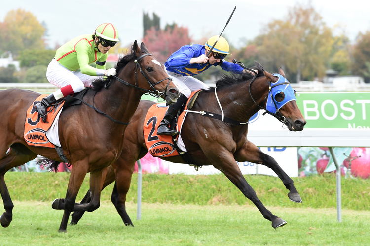 Amarula winning the Livamol Autumn Stakes