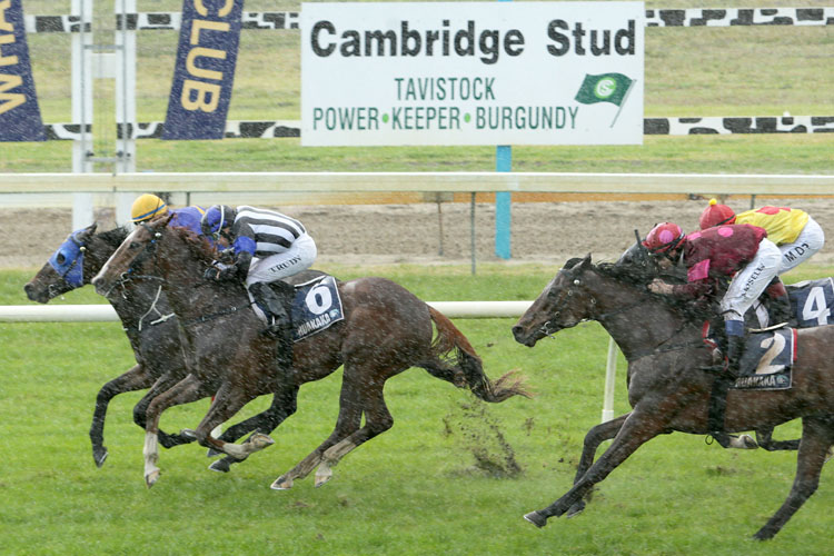 Amarula winning the Northpine Waipu Cup