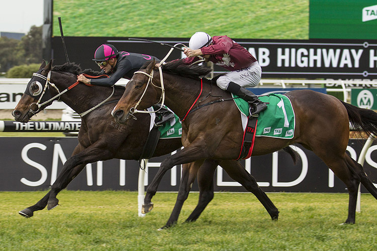 Another Sin winning the Tab Highway (C2) Another Sin winning the Tab Highway (C2)