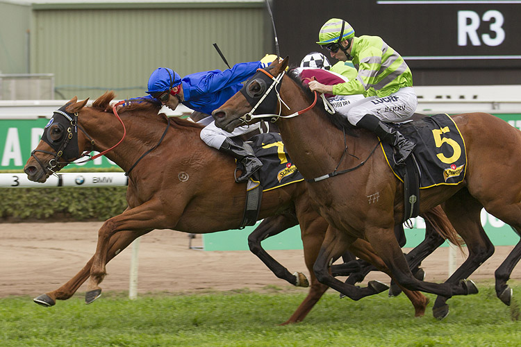 Ataraxia winning the Schweppes Dulcify Qlty