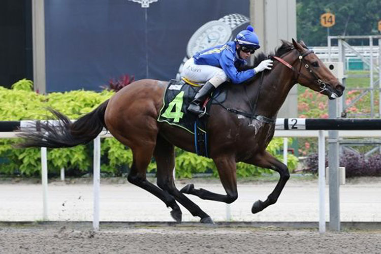 Augustano winning the TABCORP HOLDINGS LIMITED TROPHY CLASS 4