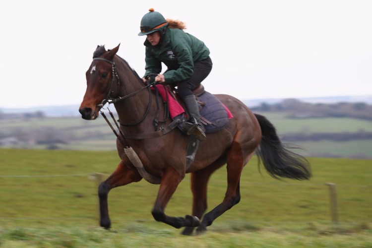 BLAKLION works out on the polytrack gallop at Grange Hill Farm in Naunton