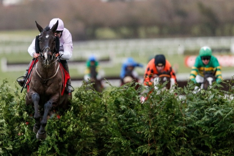BLESS THE WINGS winning the Glenfarclas Cross Country Handicap Steeple Chase at Cheltenham in United Kingdom.