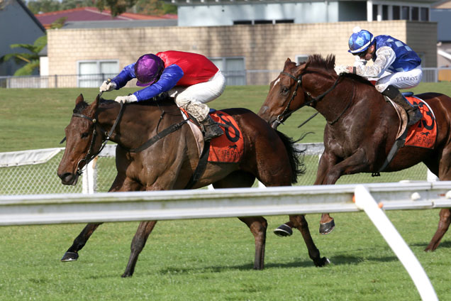 Balham winning the Fairview Motors Hcp