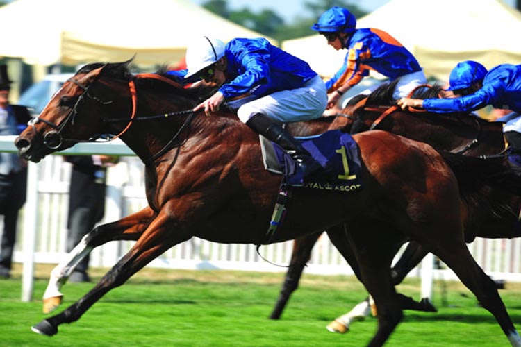 Barney Roy winning the St James's Palace Stakes (Group 1) (British Champions Series & Global Sprint Challenge) (Rnd)