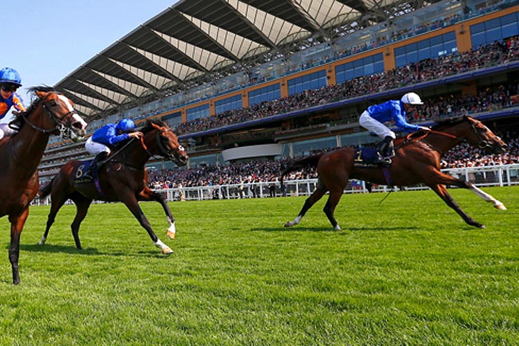 Barney Roy winning the St James's Palace Stakes (Group 1) (British Champions Series & Global Sprint Challenge) (Rnd)