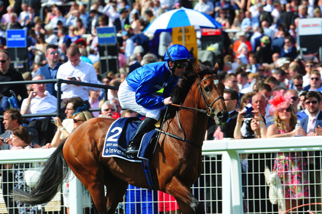 Best Solution running in the Investec Derby (Group 1) Best Solution running in the Investec Derby (Group 1)