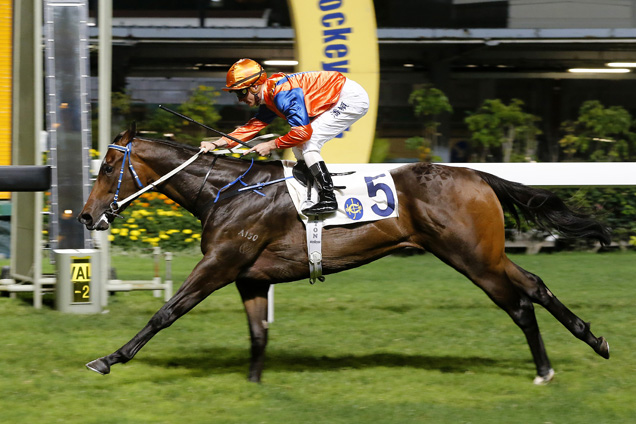 Best Step winning the NIGHTJAR HANDICAP Best Step winning the NIGHTJAR HANDICAP