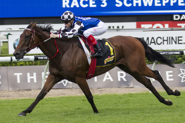 Big Duke winning the Chairman's Hcp