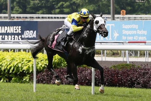 Big Man winning the WILD GEESE 2014 STAKES CLASS 4