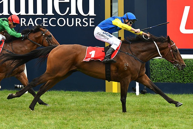 Black Heart Bart winning the C.F. Orr Stakes