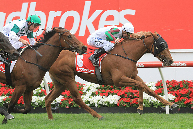 Blondie winning the William Crockett Stakes