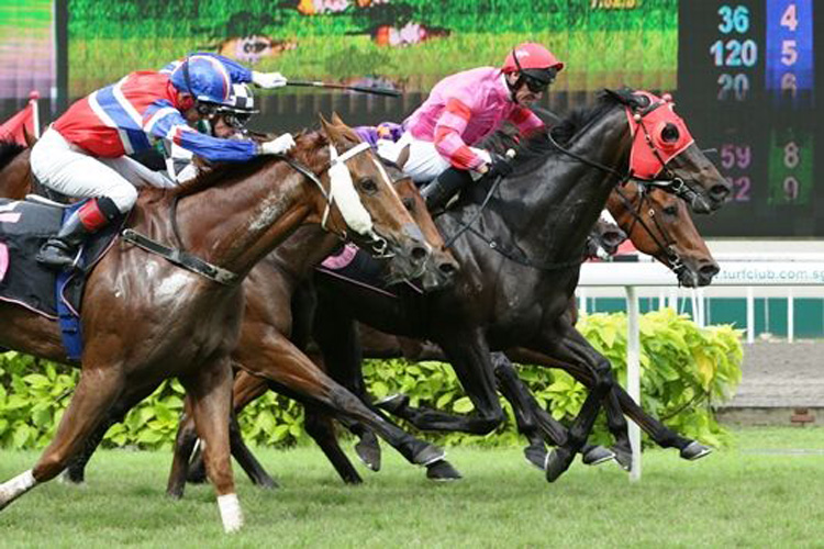 Blue Swede winning the HELLO ZAGREB STAKES KRANJI STAKES A