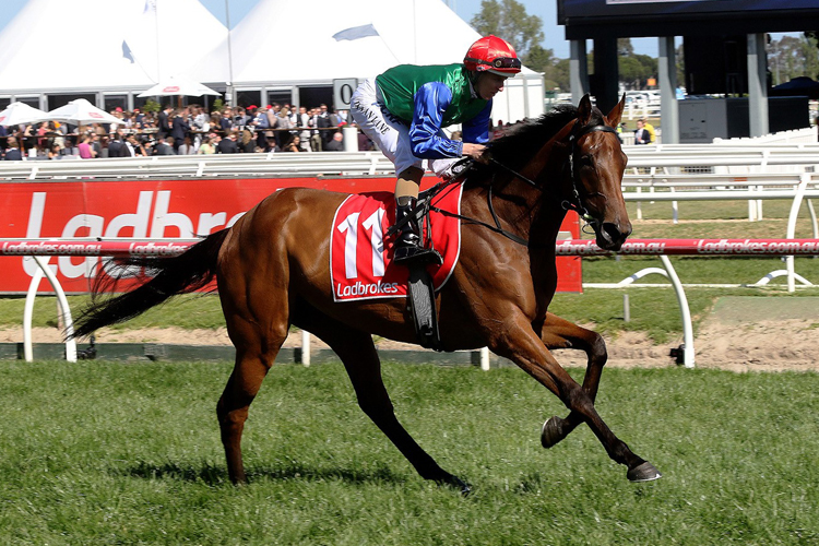 Bonneval running in the Ladbrokes Caulfield Stakes
