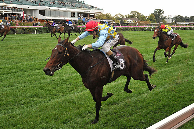 Booker looks a winner in Adelaide