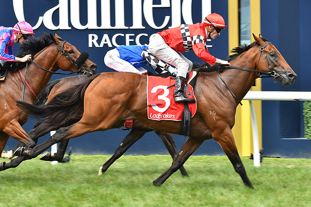 Boom Time winning the Mornington Cup Prelude