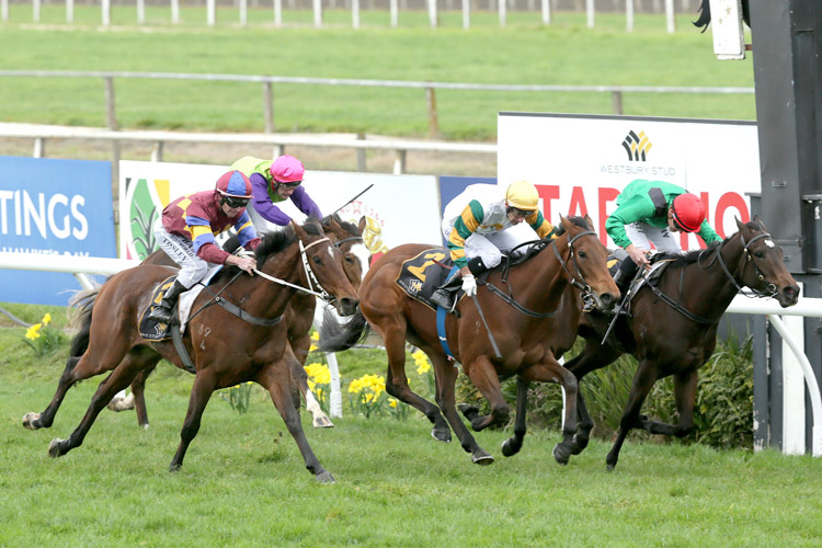 Bostonian winning the El Roca-Sir Colin Meads Trophy