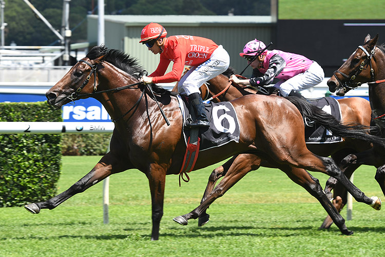 Brave Song can win in Melbourne
