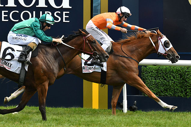 Burning Front winning the Ts Carlyon Cup