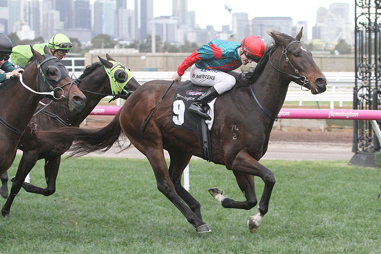 Cannyescent winning the Brian Beattie Hcp
