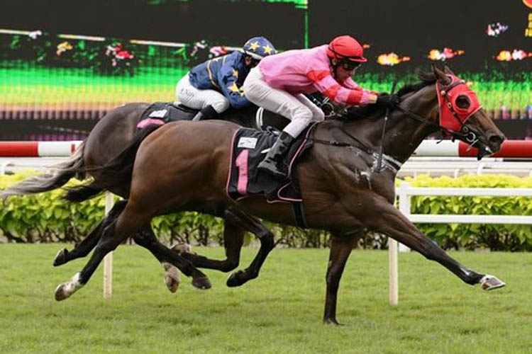 Caorunn winning the KRANJI STAKES C