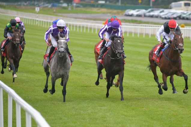 Capri winning the 2017 Irish Derby