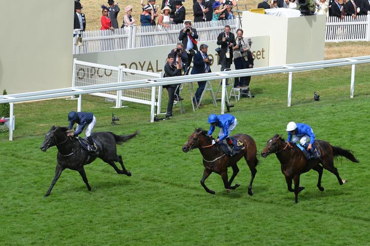 Blue Point finishes third in the Commonwealth Cup at Royal Ascot