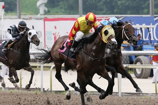 Casing Royal winning the KRANJI STAKES C