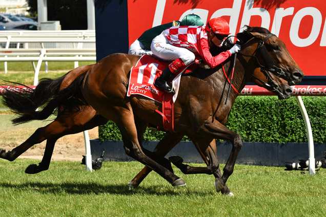 Catchy winning the Blue Diamond Stakes Catchy winning the Blue Diamond Stakes