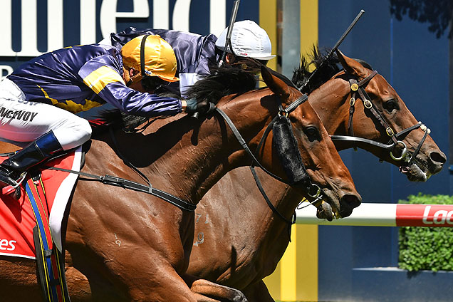 Chance To Dance winning the Mal Seccull Hcp Chance To Dance winning the Mal Seccull Hcp