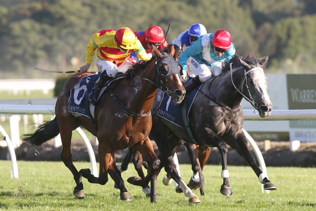 Charmont(outer) winning the Fiber Fresh Nz T'bred Breeders