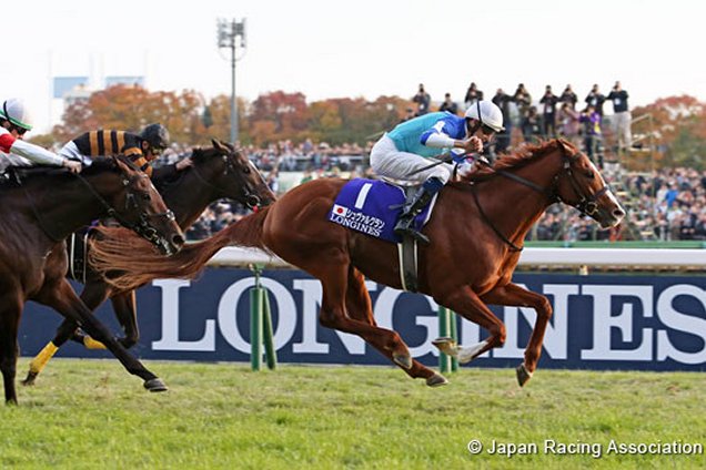 Cheval Grand winning the THE JAPAN CUP in association with LONGINES