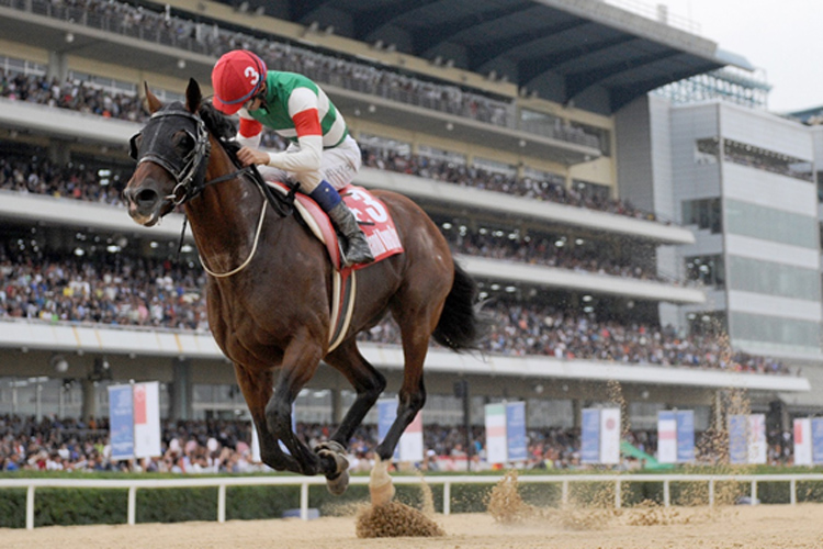 Chrysolite returns once again to compete for the Korea Cup he won so easily in 2016 Chrysolite returns once again to compete for the Korea Cup he won so easily in 2016