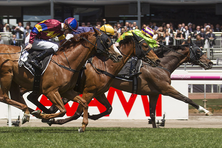 Cismontane winning the Lexus Stakes