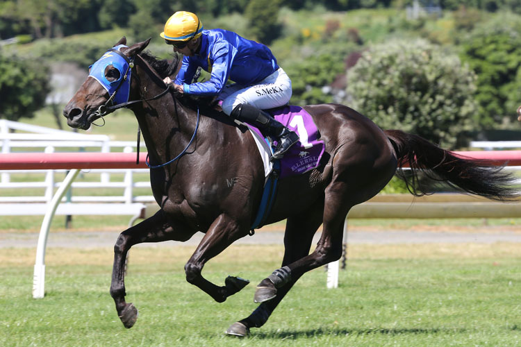 Clarify winning the Dunstan Feeds (Bm75)