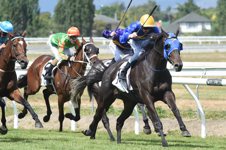 Clarify winning the Hotel Coachman Manawatu Cup