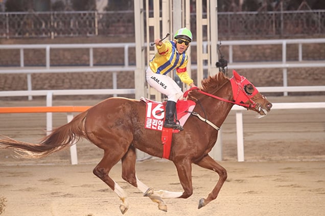 Clean Up Joy winning the Grand Prix Stakes in December 2016