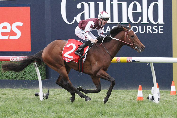 Cliff's Edge winning the Ladbrokes Classic