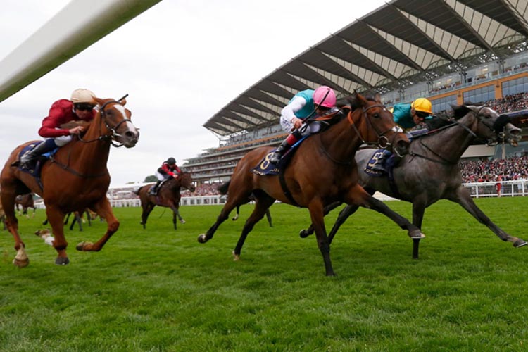 Coronet winning the Ribblesdale Stakes (Fillies' Group 2)