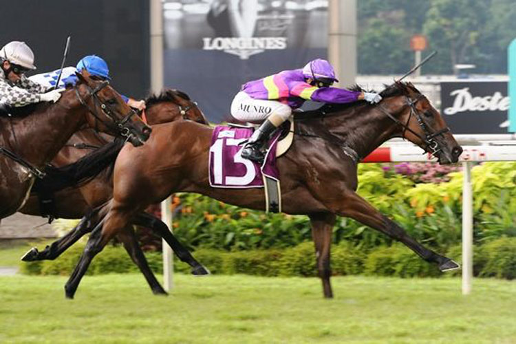 Countofmontecristo Winning the Group 3 Jumbo Jet Trophy