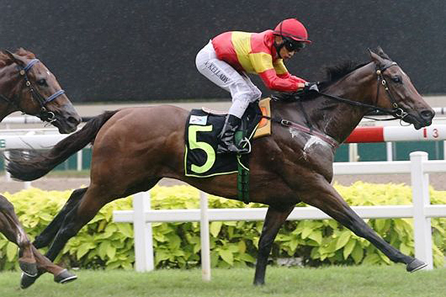 Creamy Custard winning the OPEN MAIDEN