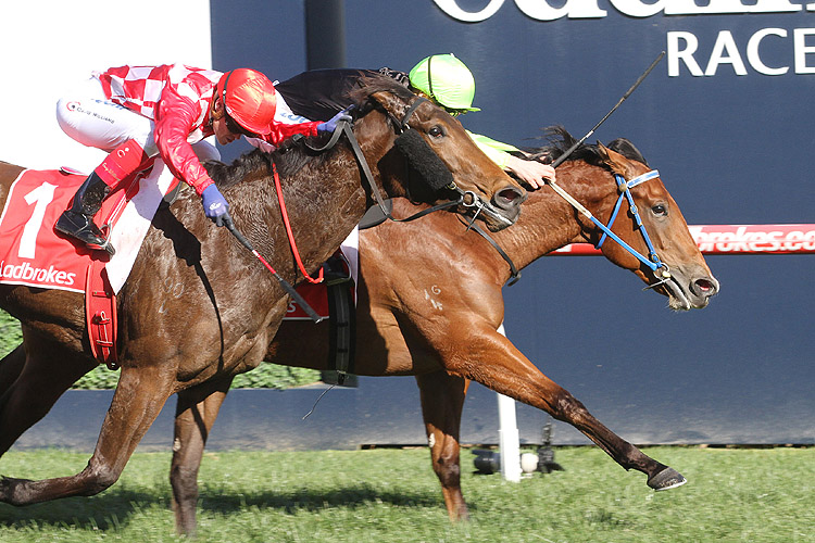 Crown Witness winning the Winslow Group Quezette Stakes