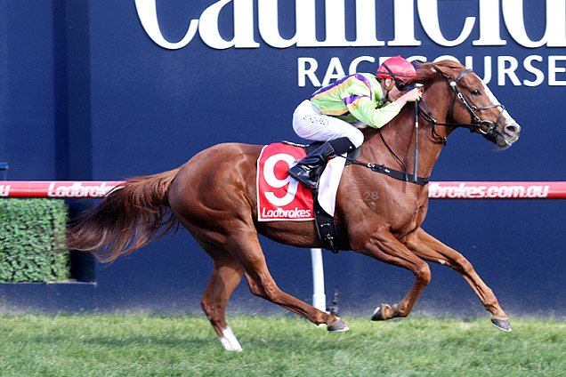 Crystal Dreamer winning the Sandown Park (U.K) Hcp Crystal Dreamer winning the Sandown Park (U.K) Hcp