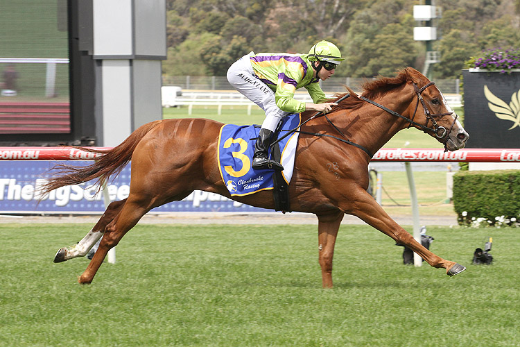 Crystal Dreamer winning the Clanbrooke Racing Doveton Stks Crystal Dreamer winning the Clanbrooke Racing Doveton Stks