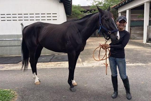 Clerk of the course newbie Daad’s The Way with rider Isabelle Huang.