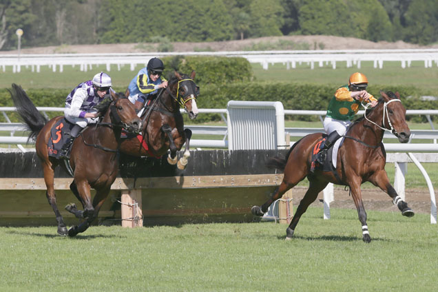 Danza Lad winning the Porritt Sand Rst Hrdl